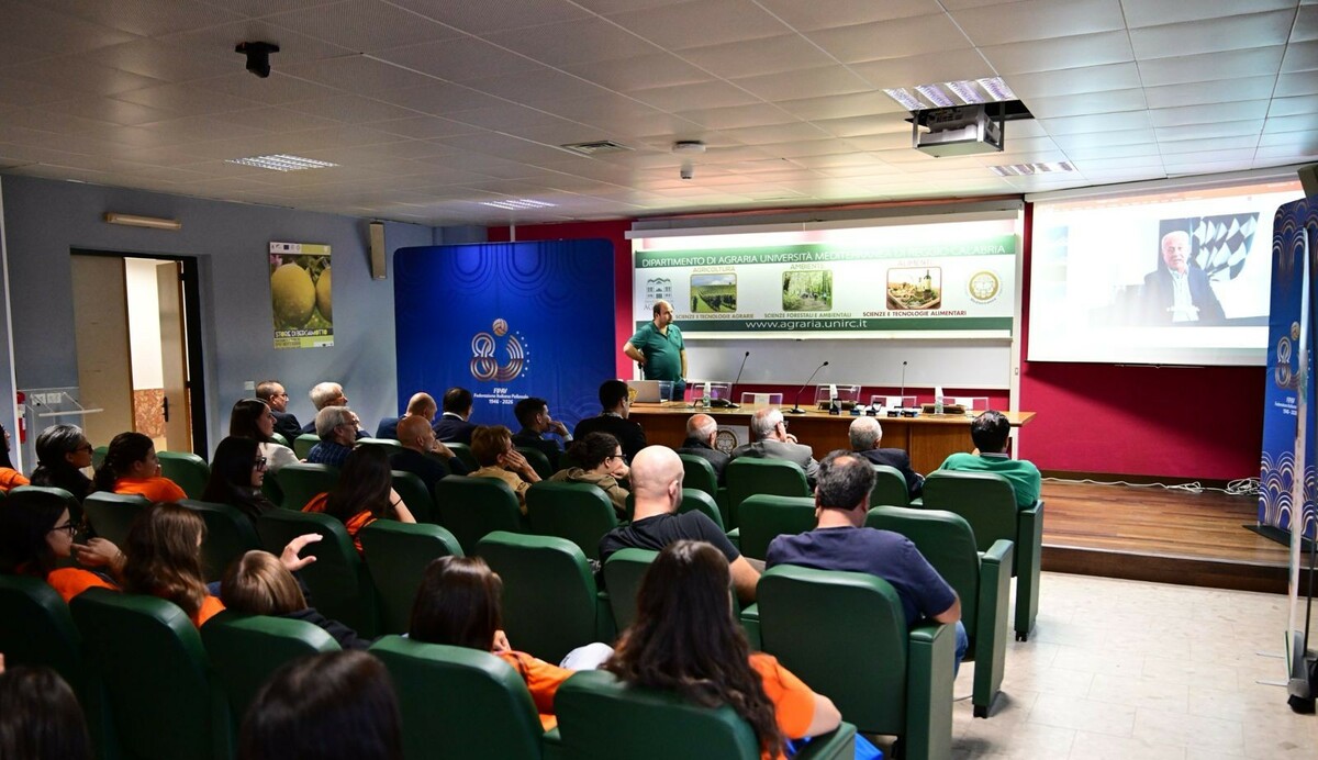 FIPAV: Reggio Calabria celebra gli 80 anni, premiati cinque protagonisti del territorio