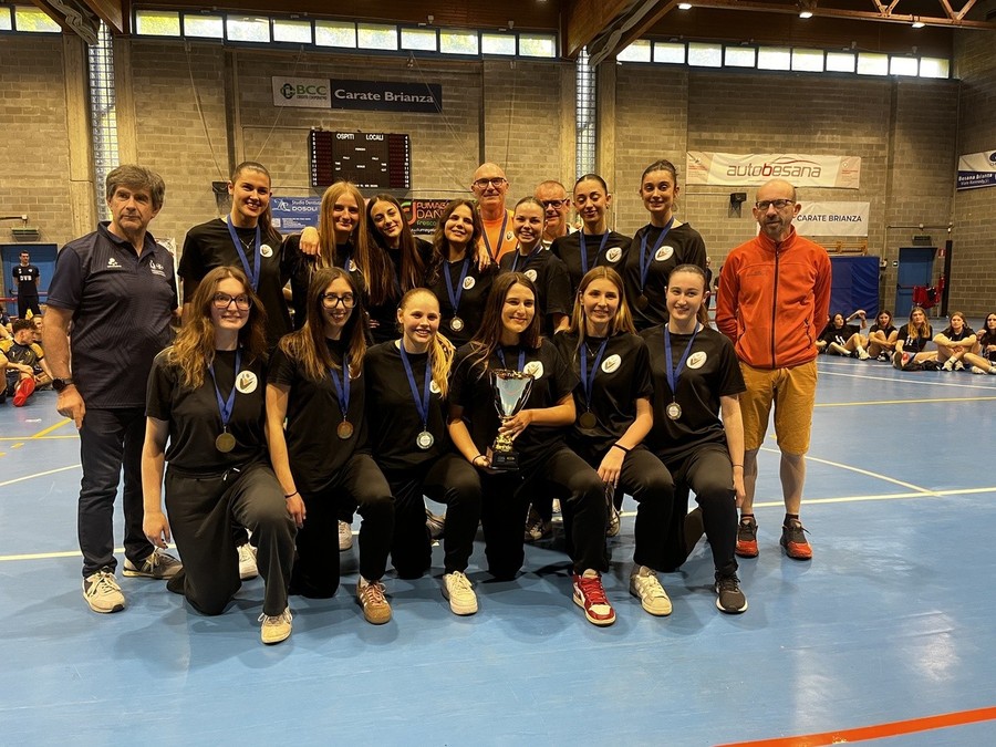 Viviamo Volley