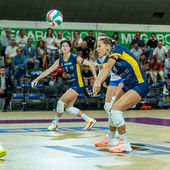 Alice Nardo