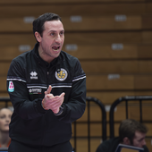 Coach Solforati