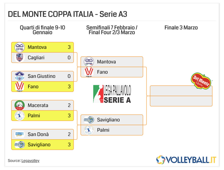 Del Monte Coppa Italia A3: In semifinale Mantova-Fano e Savigliano-Palmi