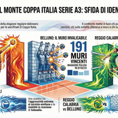 Del Monte Coppa Italia A3: I numeri delle semifinaliste. Reggio Emilia spinge al servizio, Reggio Calabria domina in attacco, Belluno muro solido