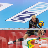 Francesco ani, da un gialloblù all'altro...