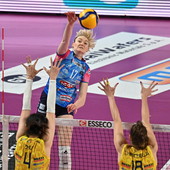 Tolok MVP