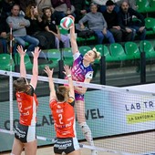 A1 Tigotà: Igor Gorgonzola Novara a segno in tre set a Cuneo A1 Tigotà: Igor Gorgonzola Novara a segno in tre set a Cuneo