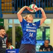 Asia Wolosz