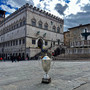 Perugia: E' tempo di “Champions Night”, Questa sera si celebra Supercoppa e Champions League