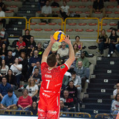 JoyVolley, Matteo Pedron nuovo regista biancorosso JoyVolley, Matteo Pedron nuovo regista biancorosso