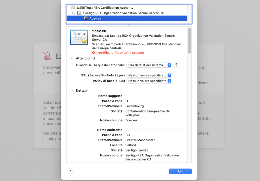 CEV: Champions, sponsor e un sito che non regge il gioco CEV: Champions, sponsor e un sito che non regge il gioco